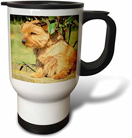 Пътна чаша 3dRose Cairn Terrier, 14 Грама, Неръждаема стомана